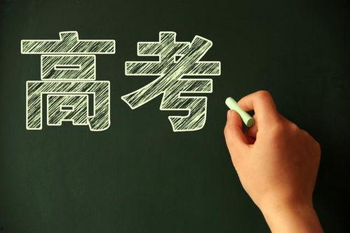 高考最新爆料,政策调整与备考策略全解析